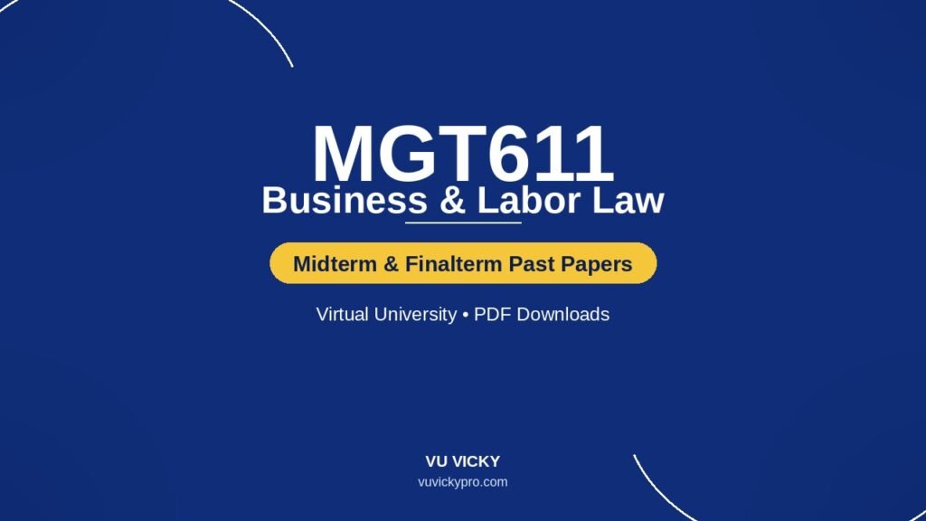 MGT611-past-papers-cover-v3