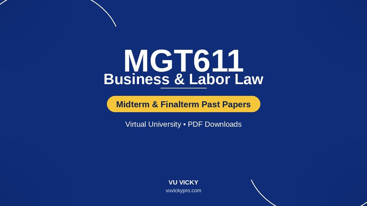 MGT611-past-papers-cover-v3